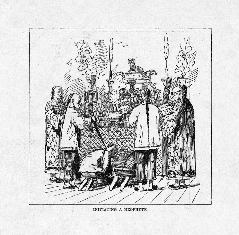 Initiating A Neophyte BI